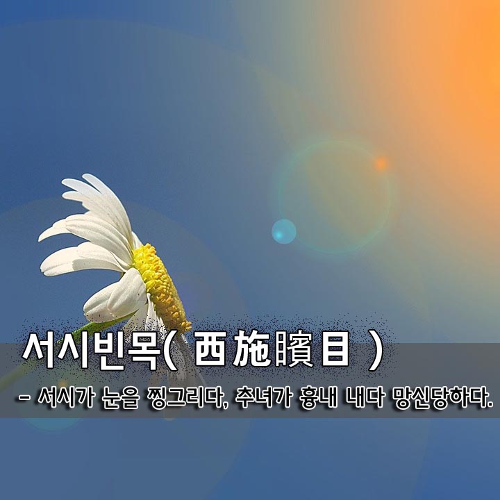  서시빈목(西施矉目)