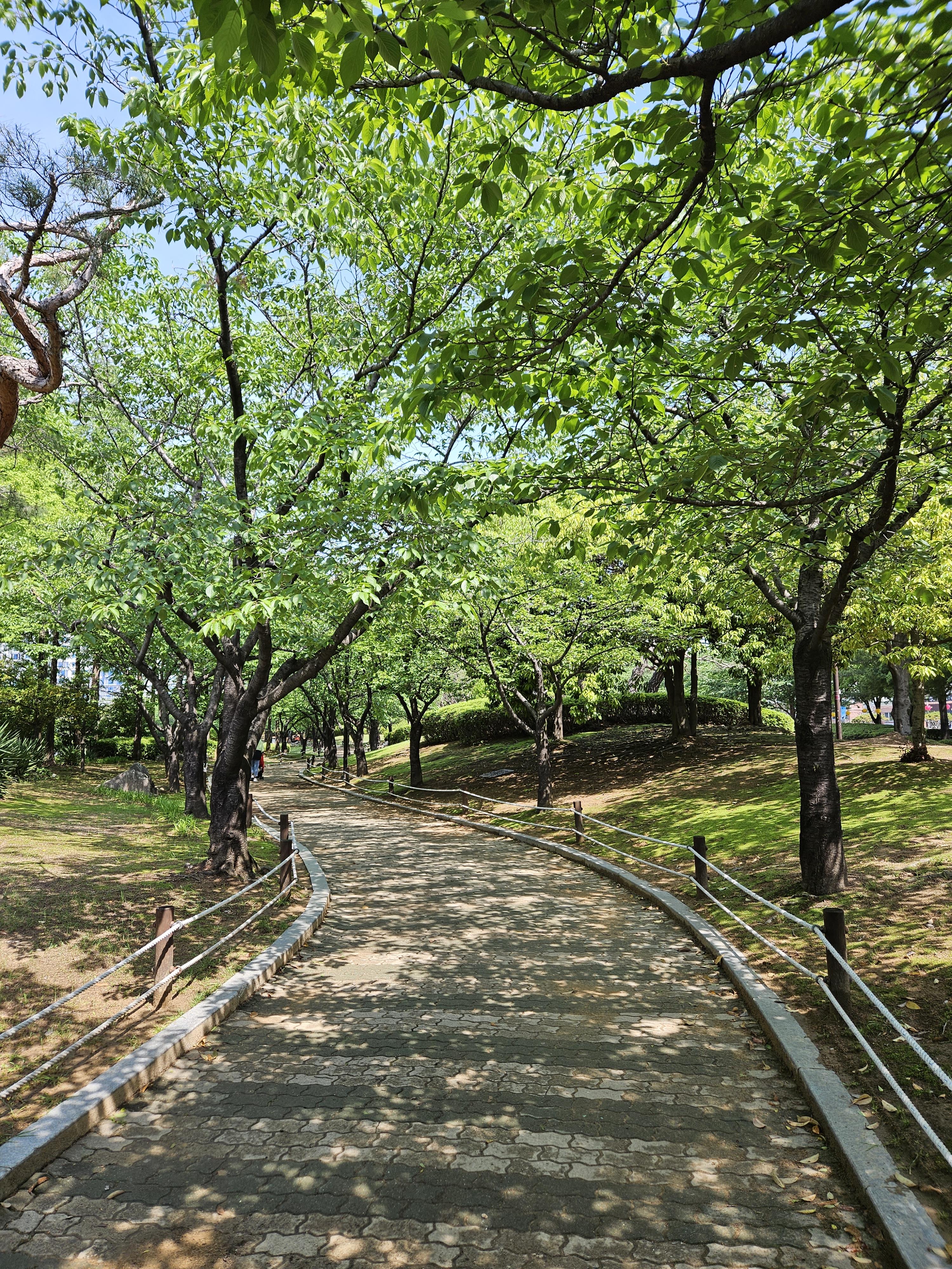 연지공원 산책길