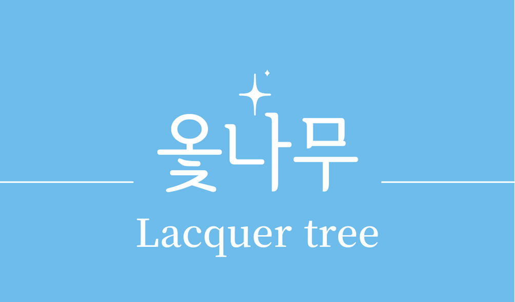 &#39;옻나무(Lacquer tree)&#39;