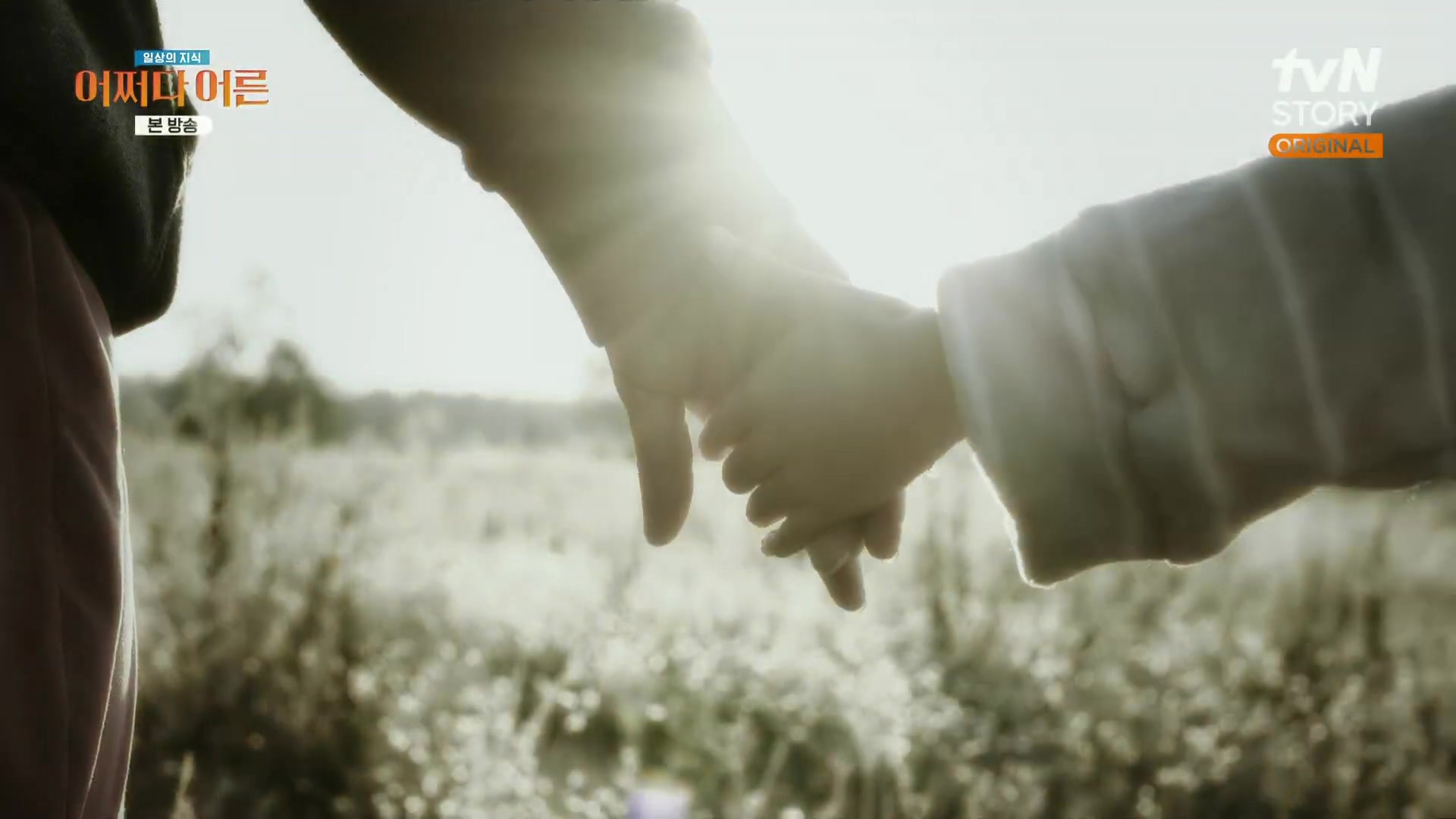어쩌다 어른.최준영.E49.240326p.H264-F1RST.mp4_20240402_201327.764.jpg
