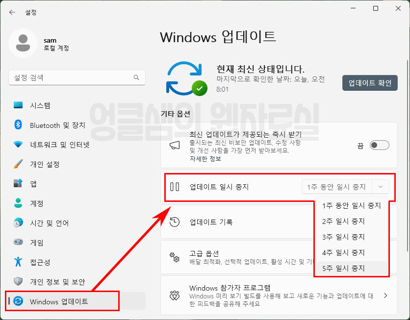 윈도우11 업데이트 일시 중지