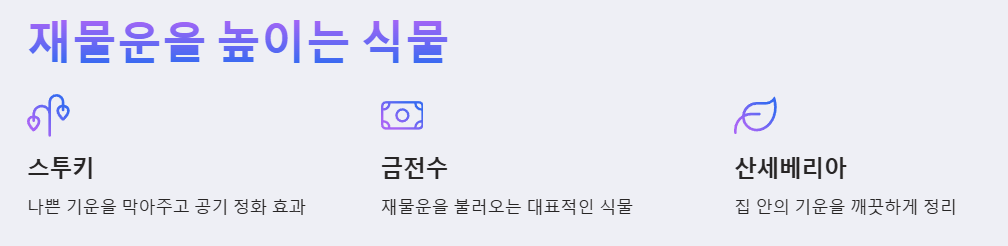 재물운을 높이는 식물