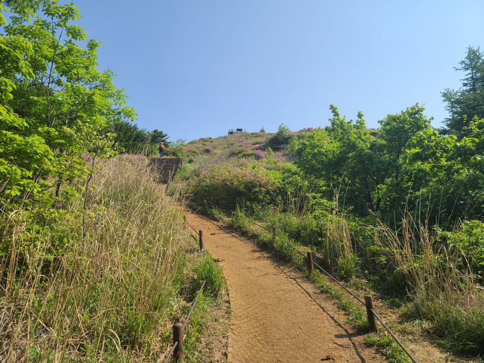 흑약 100대 지리산 바라봉 최단 등산코스 10