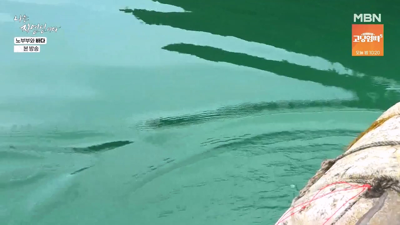 나는 자연인이다.E610.240620p-NEXT.mp4_20240620_194746.344.jpg