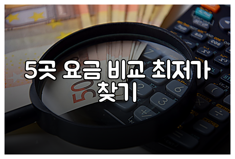 5곳 요금 비교 최저가 찾기