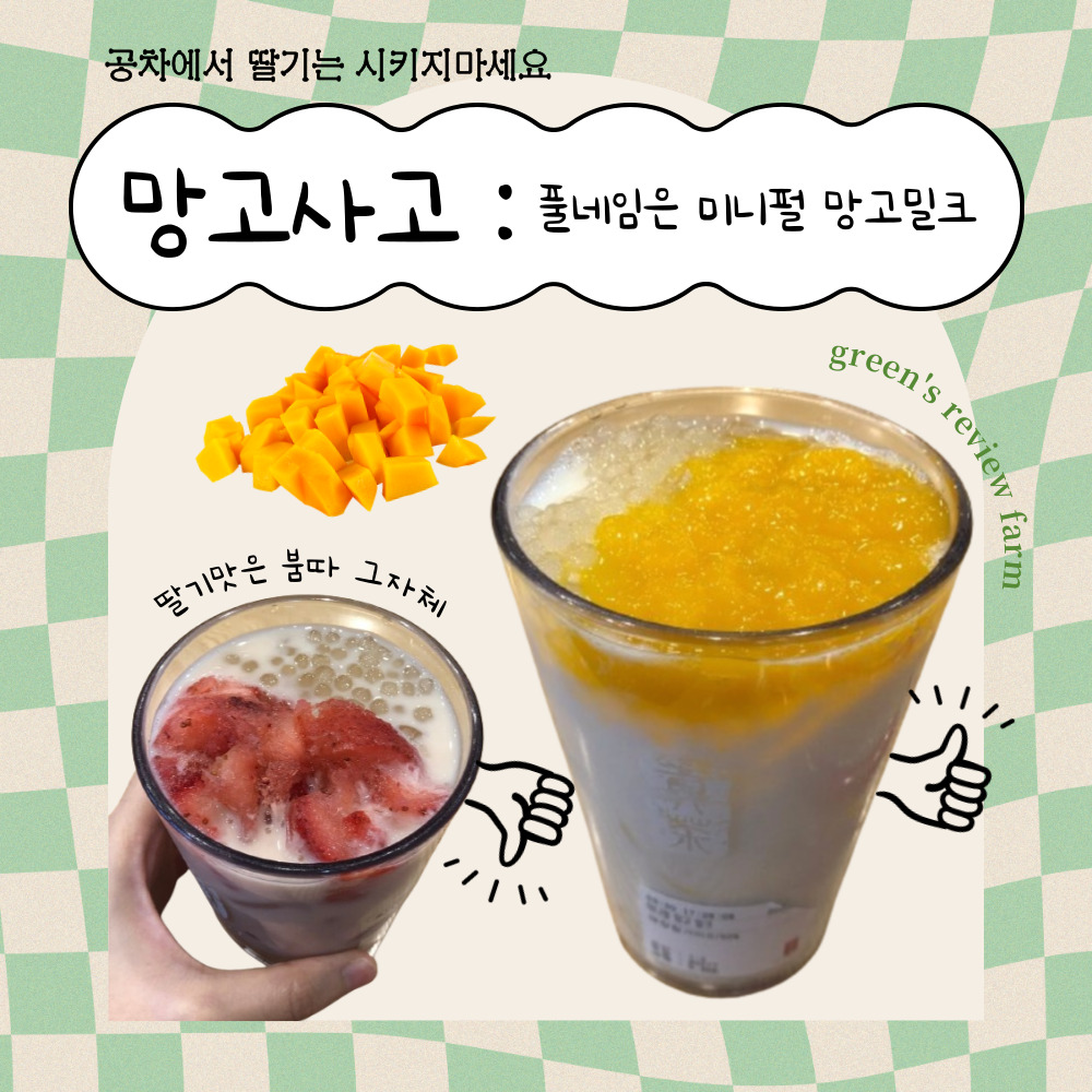공차 망고사고 미니펄 망고밀크 썸네일