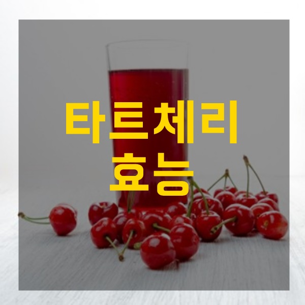  타트체리 효능