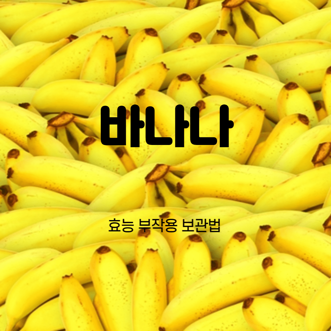  바나나의 효능 부작용 보관법