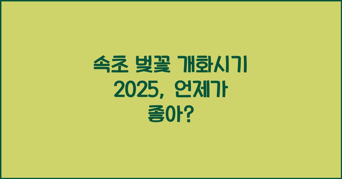 속초 벚꽃 개화시기 2025