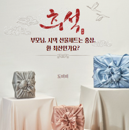  부모님 설 선물세트 잘 고르는 법, 시댁 설선물세트 추천