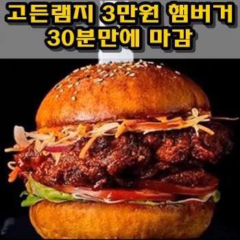  3만원대 고든 램지 햄버거 30분만에 사전예약마감
