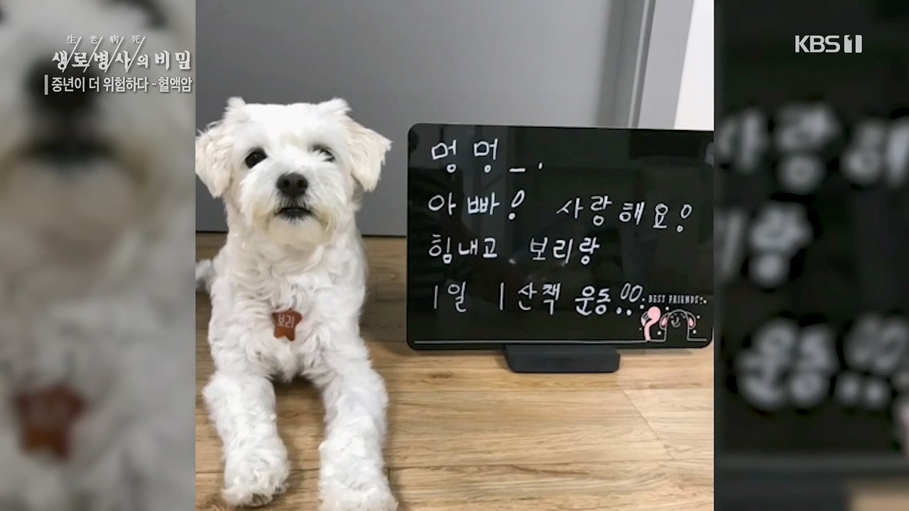 생로병사의 비밀.E868.230511p.H264-F1RST.mp4_20230511_201420.748.jpg