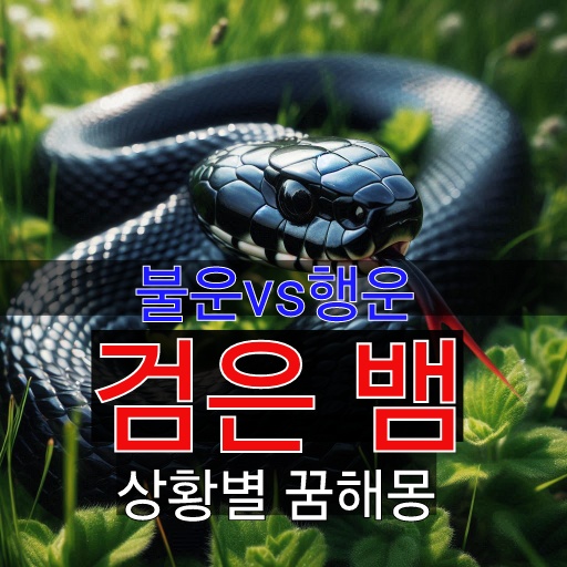  검은 뱀이 꿈속에서 나오는 의미