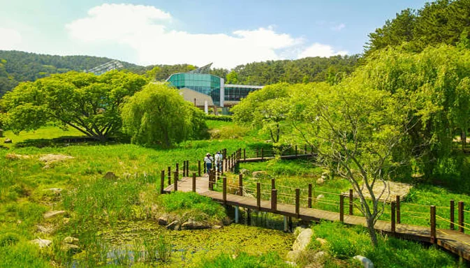 통영RCE세자트라숲