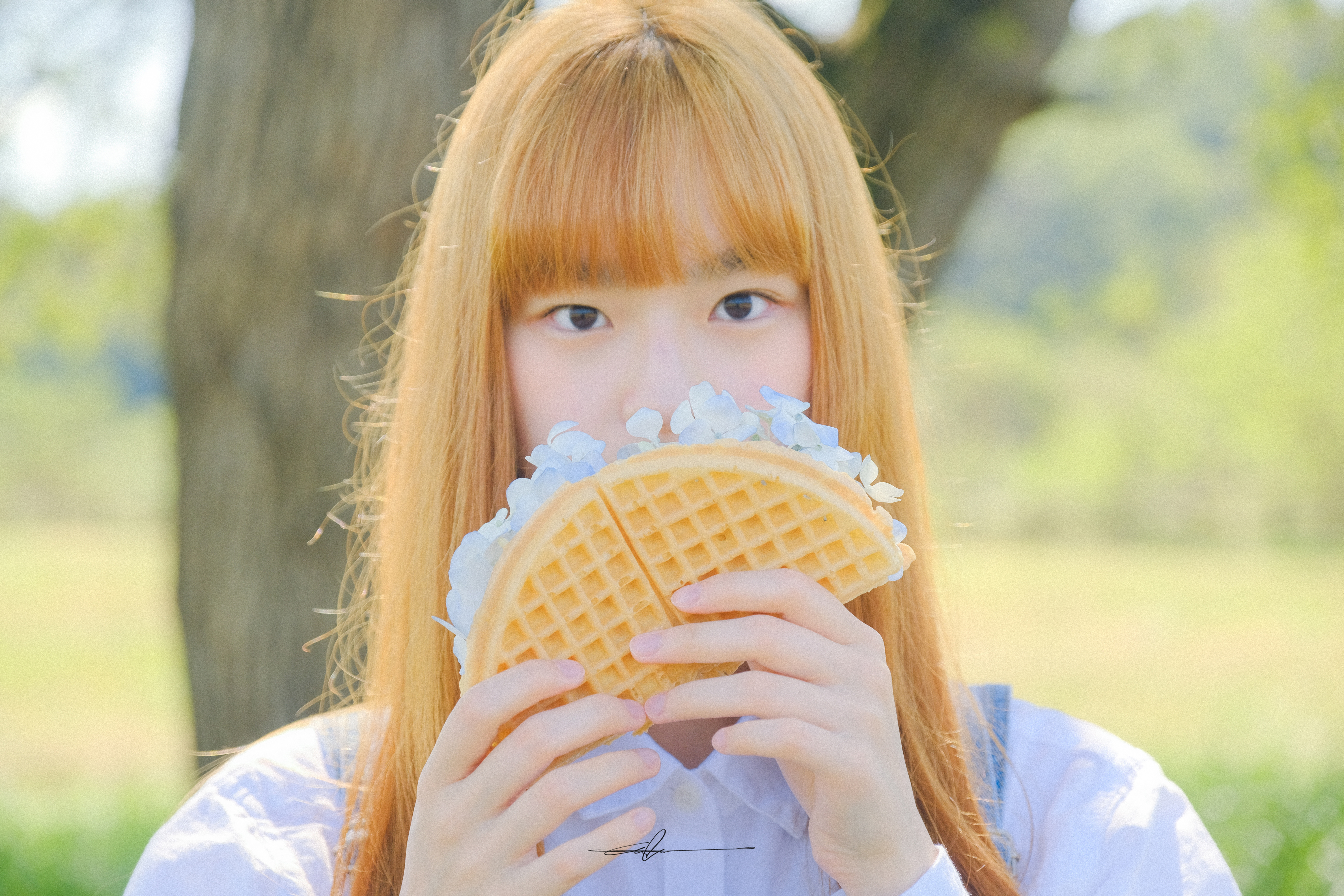  #b0c6eb_Wafflower