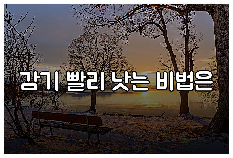 감기 빨리 낫는 비법은