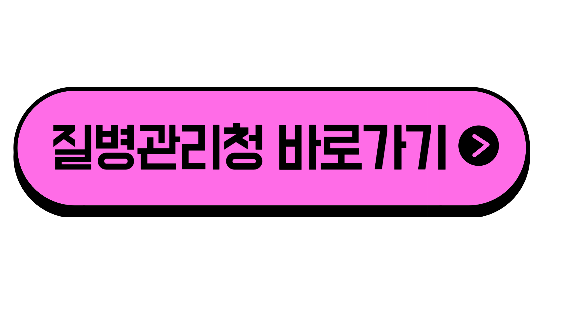 빈대 특성 퇴치법 퇴치제 퇴치약 방역 살충제