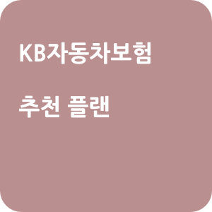 KB자동차보험 추천 플랜