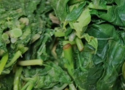 취나물 효능 부작용 알아보기 1