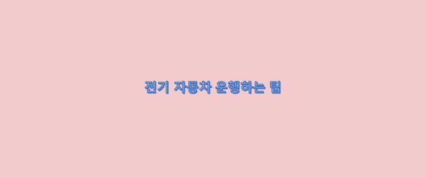  전기 자동차(EV) 운행하는 효율적인 팁
