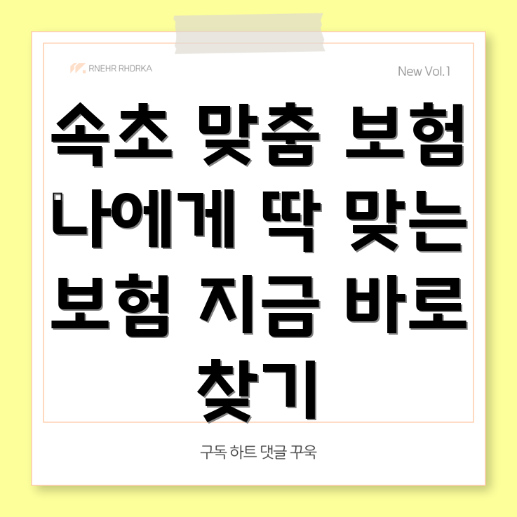 속초 영랑동 보험