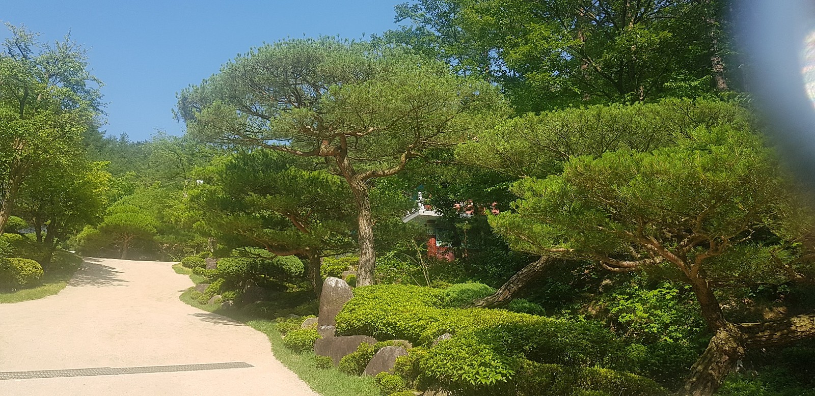 수수께끼 이미지