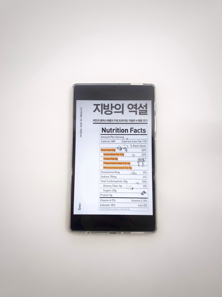 지방의 역설