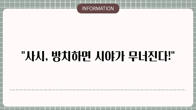 시각적 불편의 예