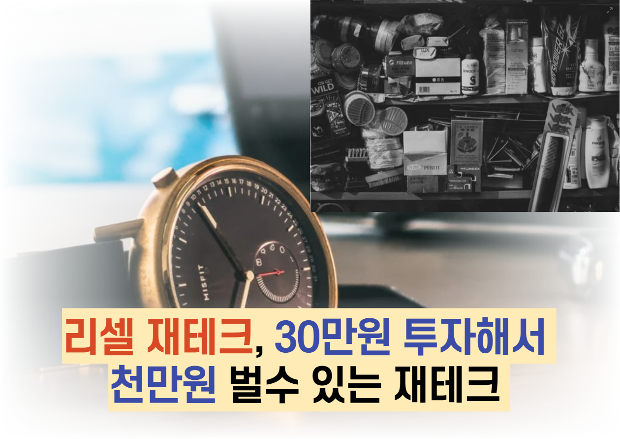  리셀 재테크, 30만원 투자해서 천만원 벌수 있는 재테크
