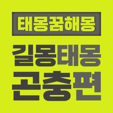  [꿈해몽풀이] 길몽 태몽 곤충편