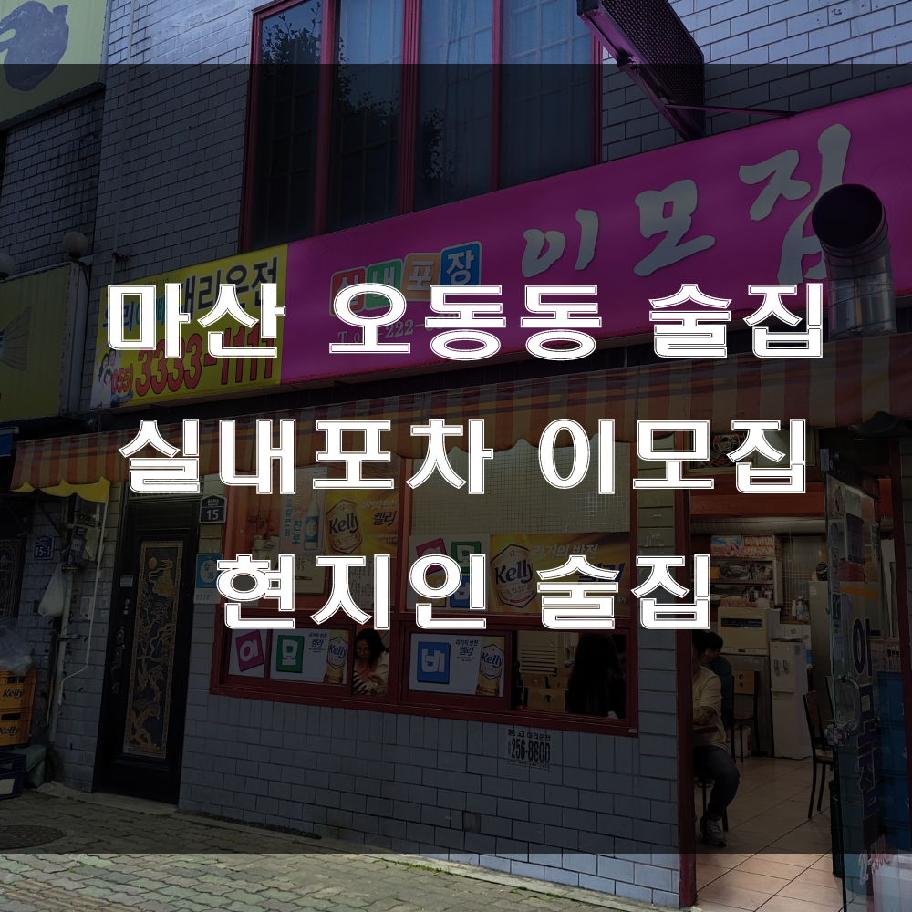  마산 오동동 술집, 현지인 맛집이라고 알려진 동성동 이모집 실내포차