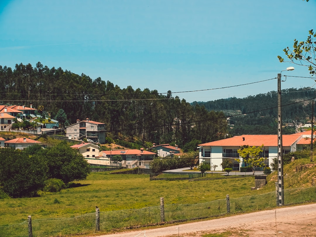 Wando