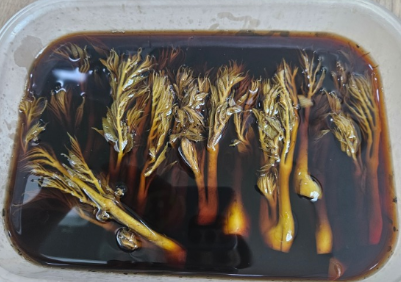두릅장아찌