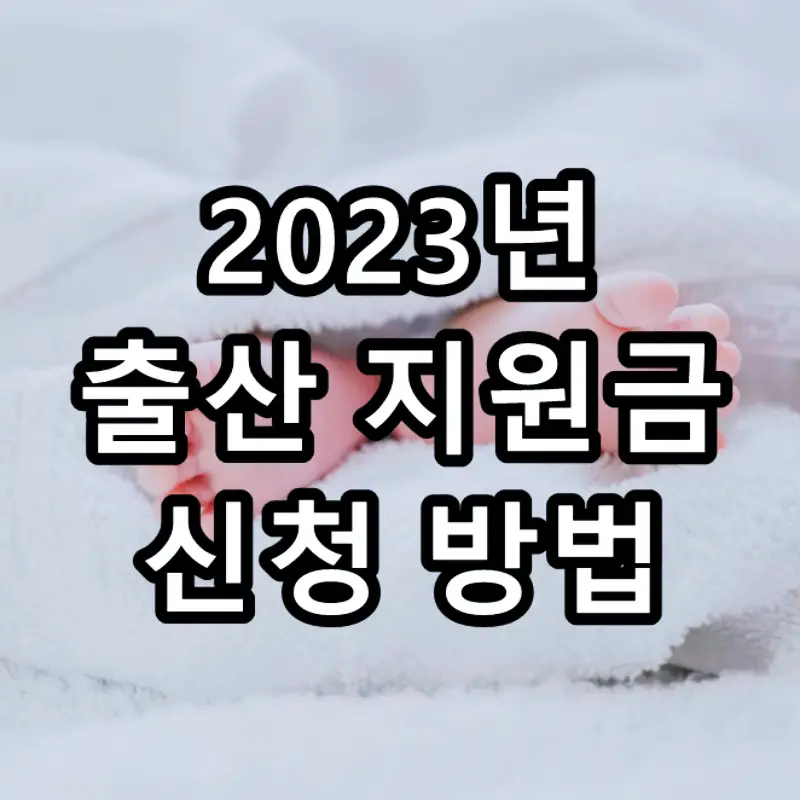 2023년 출산지원금 신청 방법 문구가 그려진 이미지