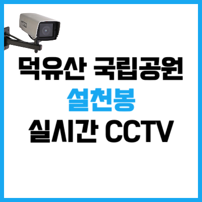 덕유산 국립공원 설천봉 실시간 CCTV 보는 방법