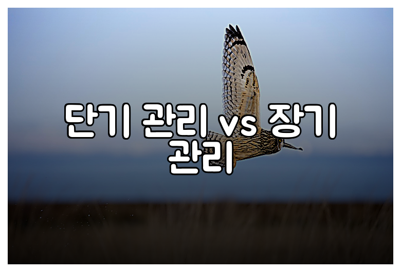 단기 관리 vs 장기 관리