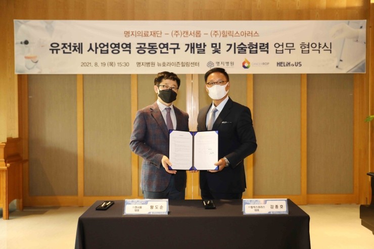 힐릭스아러스 이미지