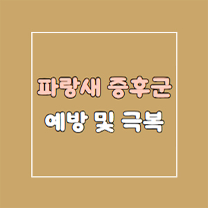 파랑새증후군