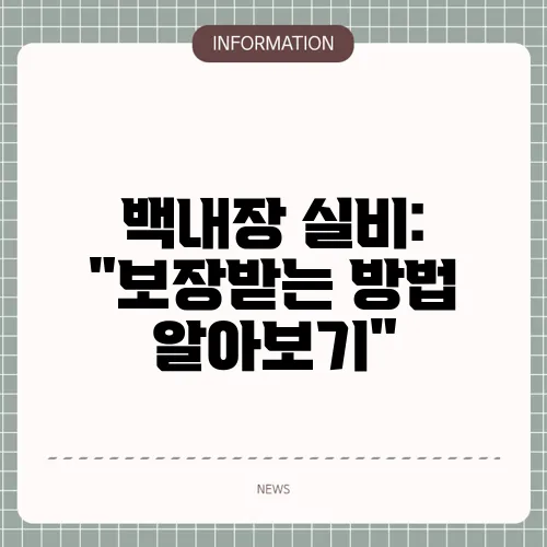 백내장 실비: 