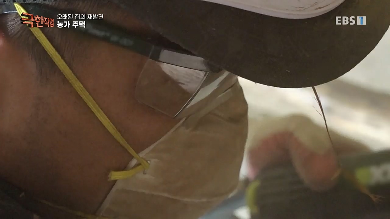 TV - 교육의 중심 EBS오래된 집의 재발견 농가와 도심 주택.mp4_20221120_151957.059.jpg