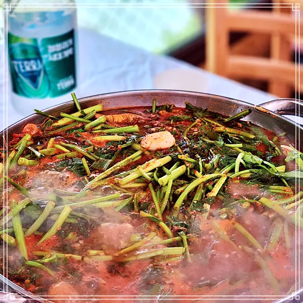  6월 30일 MBN 생생정보 마당 연천, 한탄강, 재인폭포 민물매운탕, 붕어찜 봉감독의 바이크 트립 빠가사리, 쏘가리, 메기, 참게 매운탕 맛집 위치