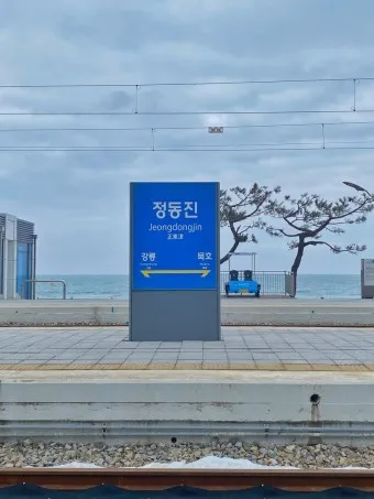 정동진역 ktx 기차시간표 요금표 예매_37
