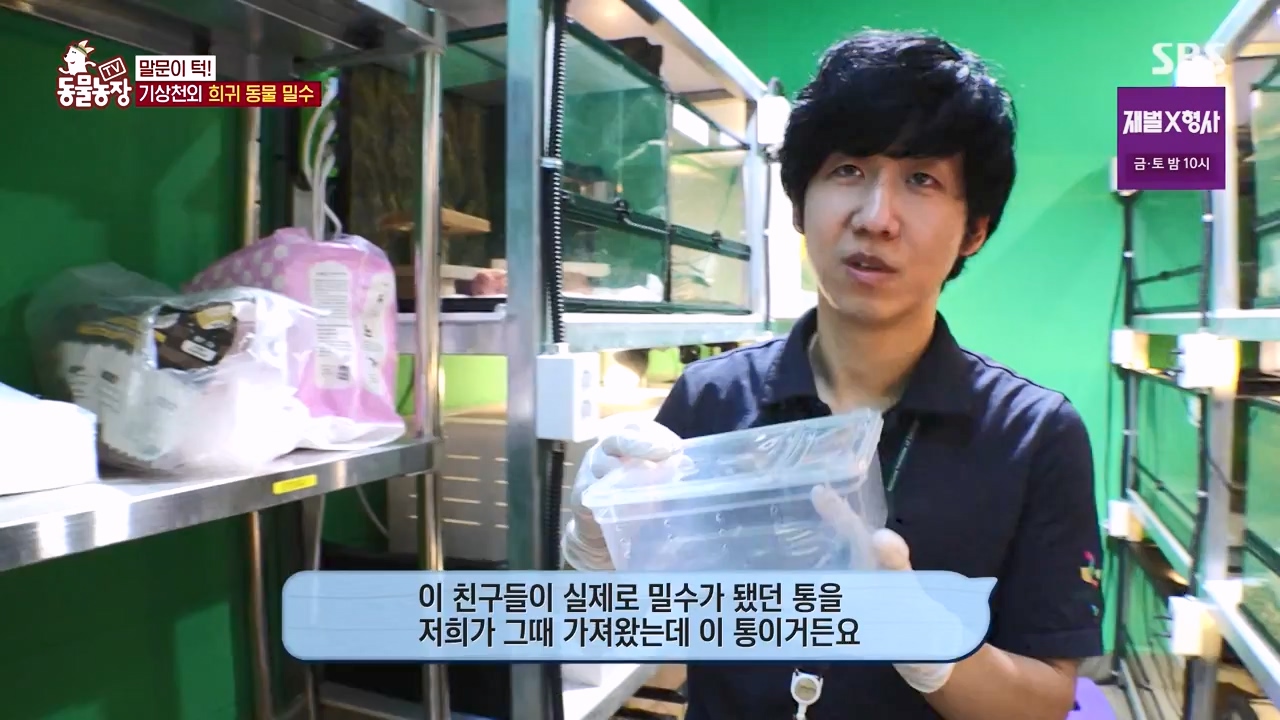 TV 동물농장.E1156.240129p-NEXT.mp4_20240128_191739.717.jpg
