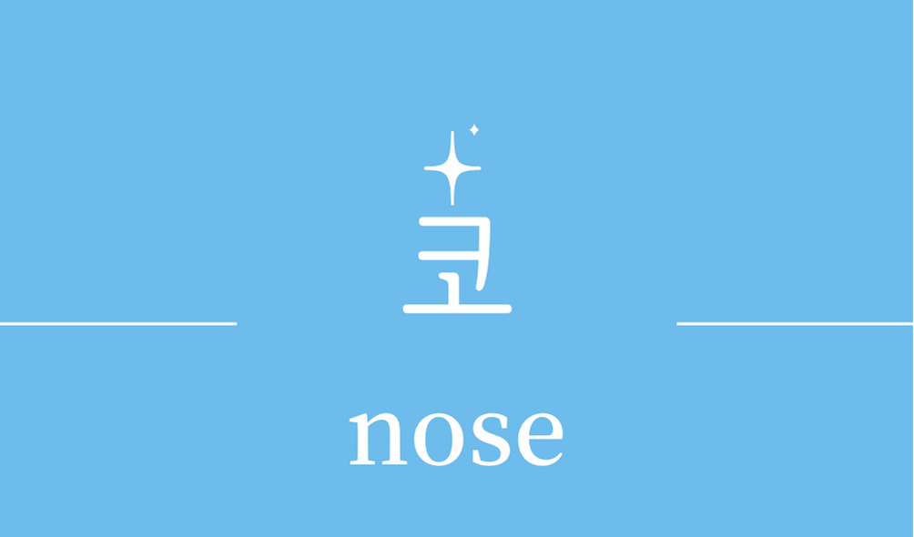 &#39;코(nose)&#39;