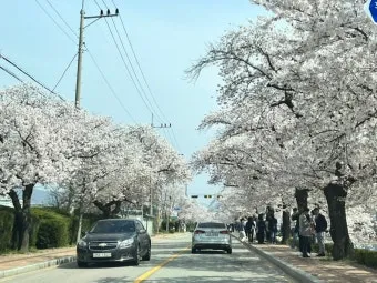 정읍 내장산 그란폰도 참가 일정 신청_7