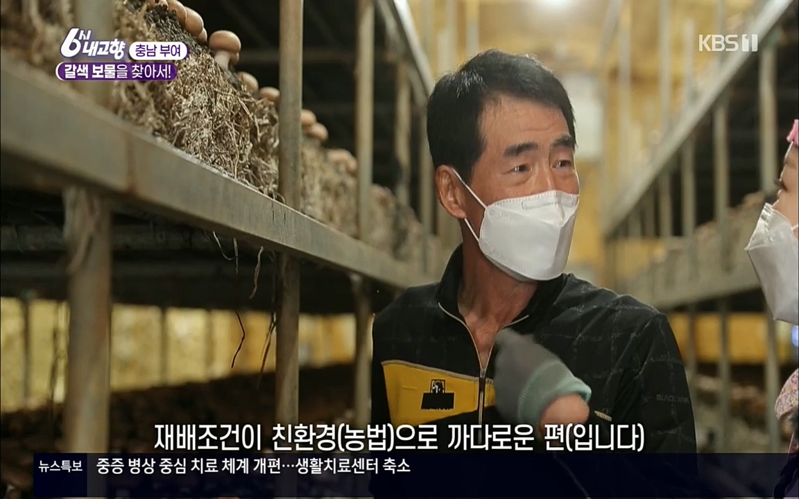 6시 내고향.E7512.220416p.H264-F1RST.mp4_20220502_185344.983.jpg