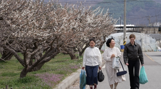 한국기행-봄나물파스타