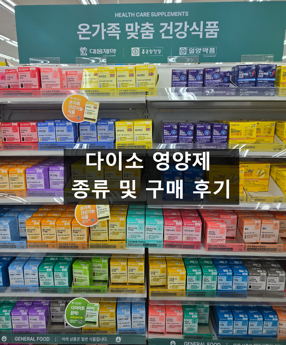 다이소 영양제