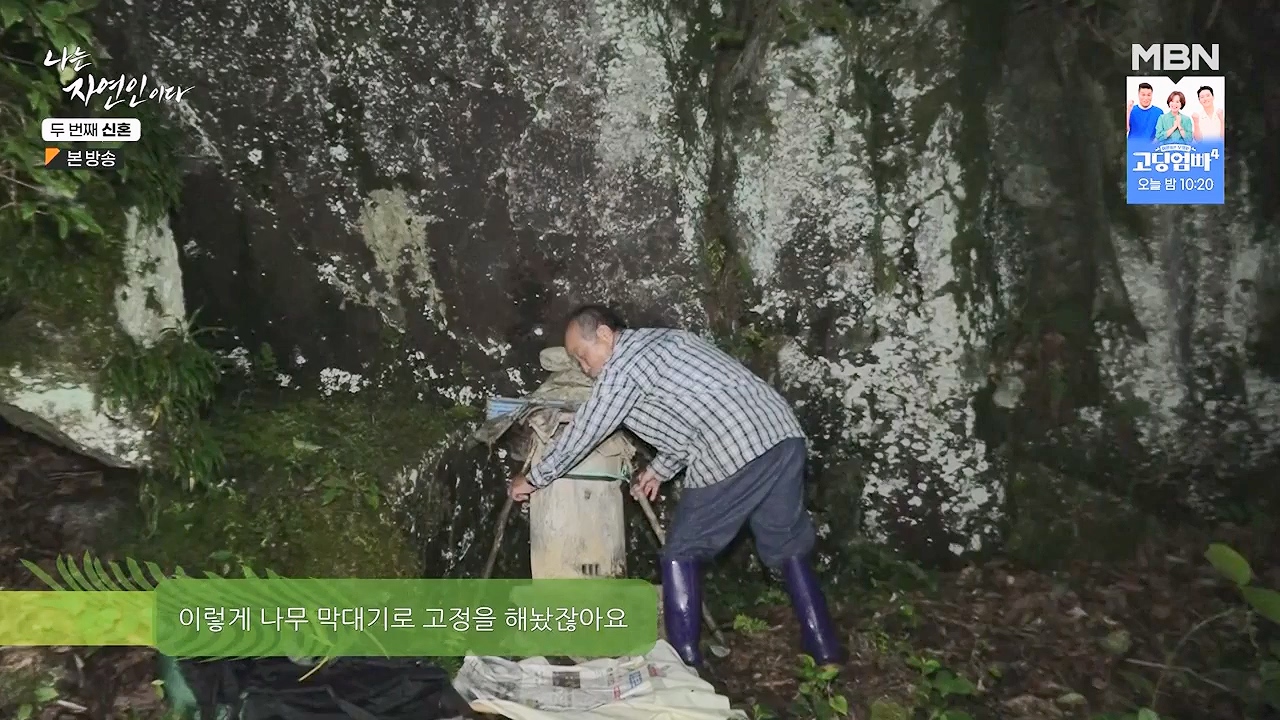 나는 자연인이다.E572.230921p-NEXT.mp4_20230921_202640.825.jpg
