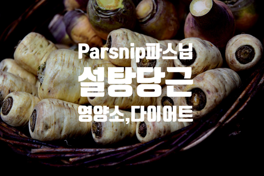  Parsnip 파스닙 - 설탕당근  : 효능과 부작용